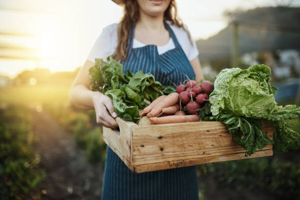 What do you need to know about organic foods?
